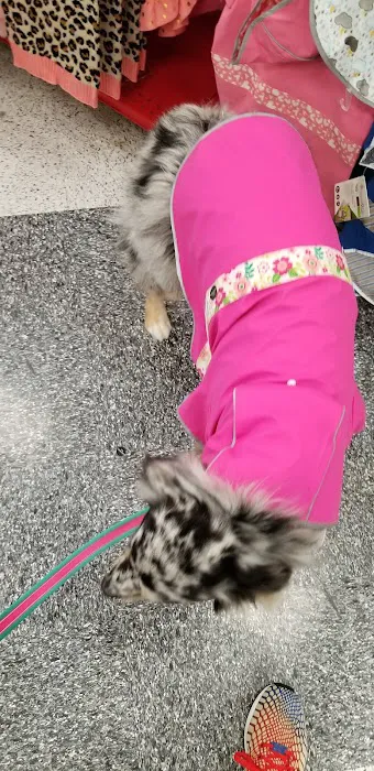 Petco Picture 9