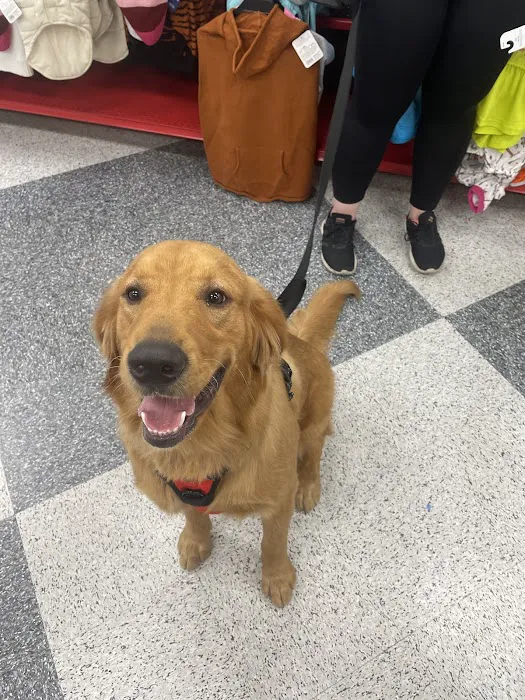 Petco Picture 10