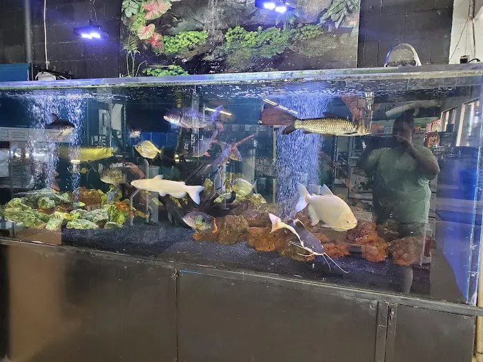 Pets Warehouse Picture 7