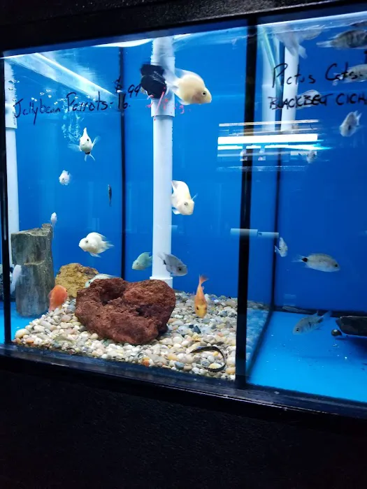 Pets Warehouse Picture 10