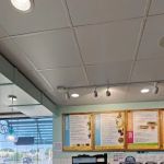 South Shore Tropicals