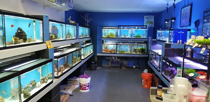 South Shore Tropicals Picture 10