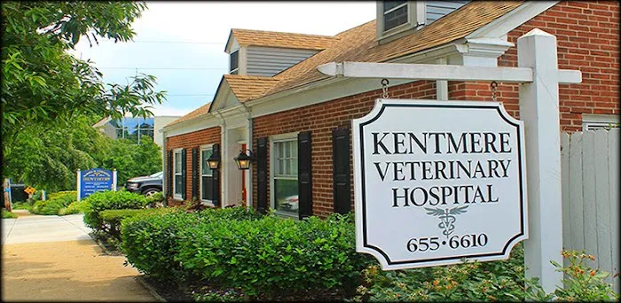 Kentmere Veterinary Hospital Picture 5