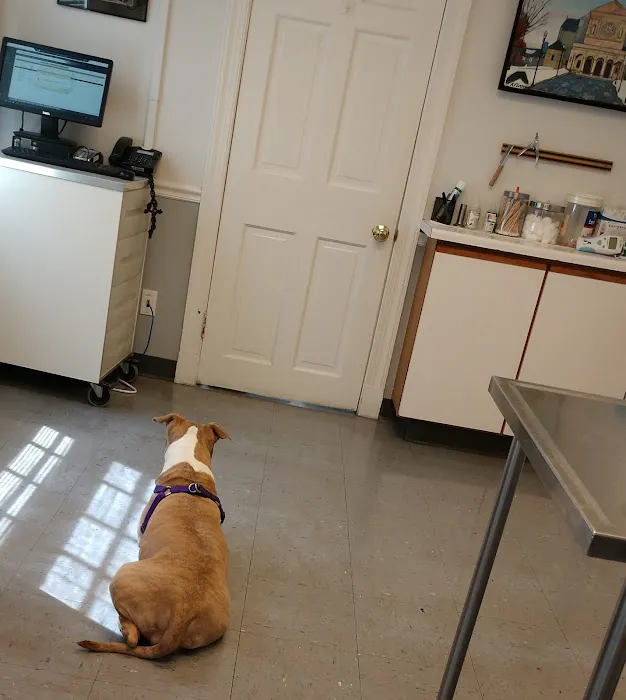 Kentmere Veterinary Hospital Picture 6