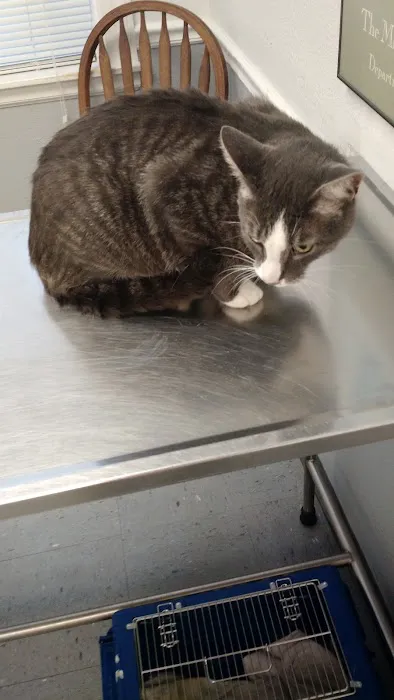 Kentmere Veterinary Hospital Picture 9