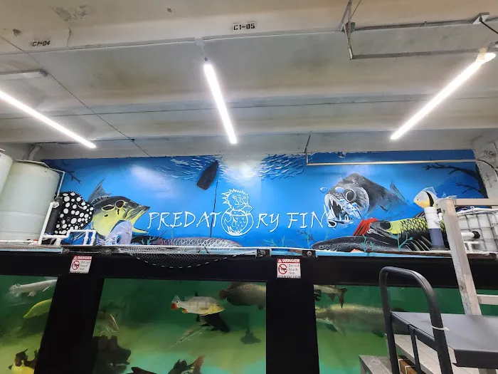PREDATORY FINS Picture 1