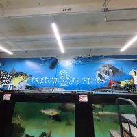 PREDATORY FINS ico