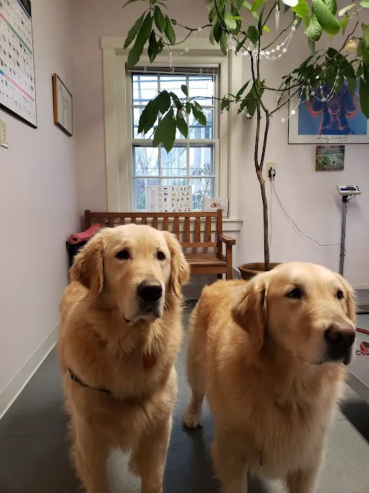 Berwyn Veterinary Center For Integrative Medicine Picture 2