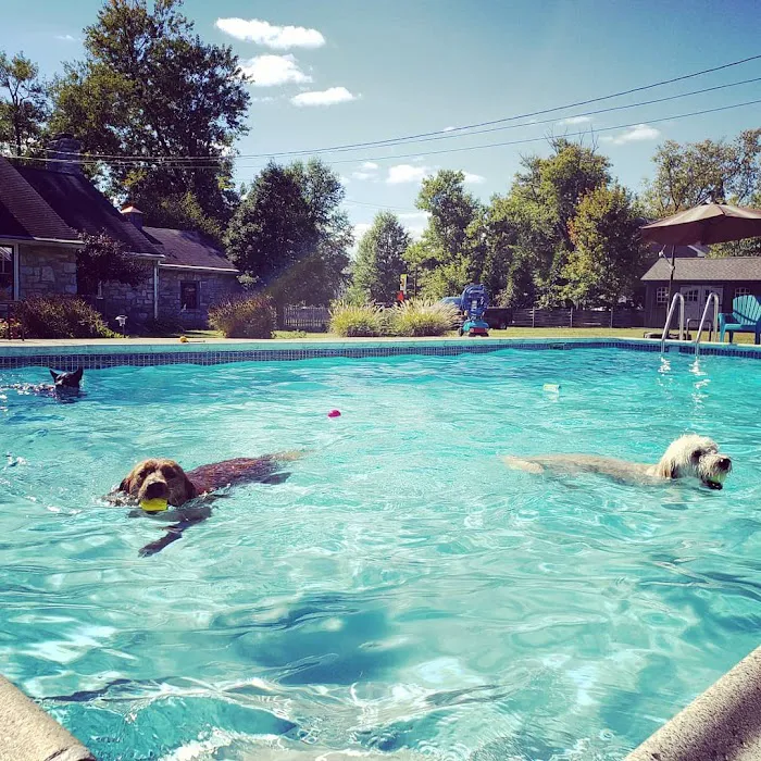 Berwyn Veterinary Center For Integrative Medicine Picture 8
