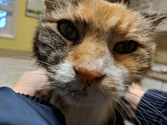 West Chester Veterinary Medical Center Picture 1
