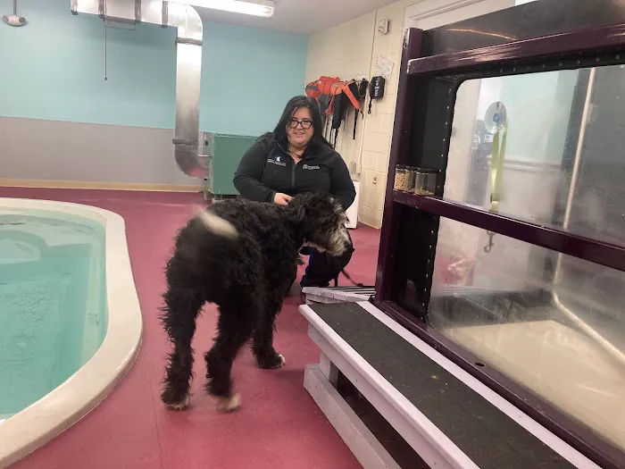 West Chester Veterinary Medical Center Picture 6
