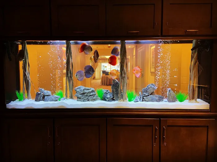Tank Me Later Aquarium & Pond Services Picture 1
