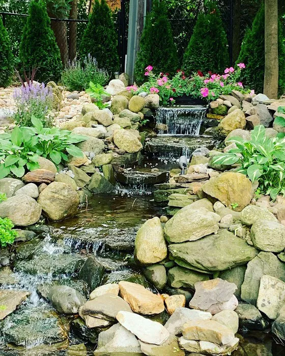 Tank Me Later Aquarium & Pond Services Picture 2