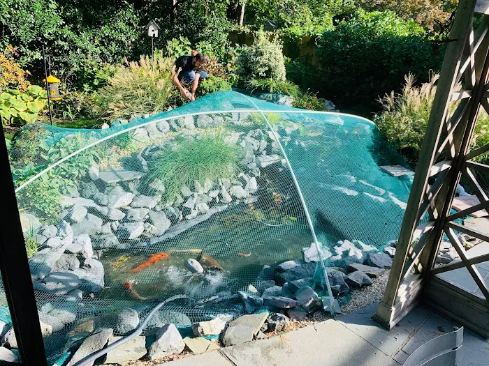 Tank Me Later Aquarium & Pond Services Picture 3