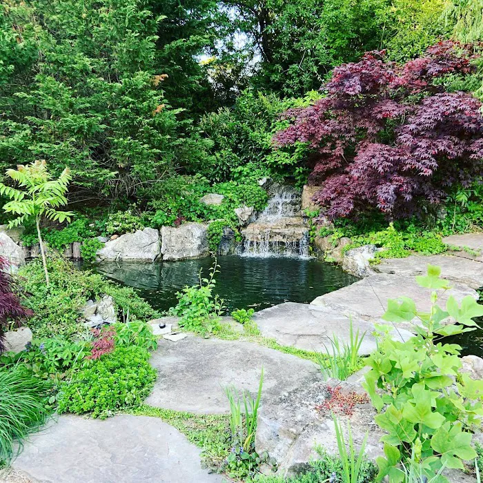 Tank Me Later Aquarium & Pond Services Picture 5
