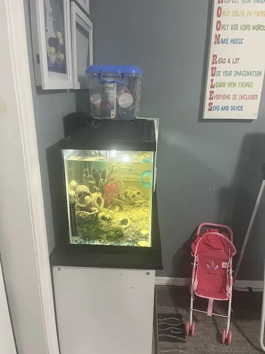 Tank Me Later Aquarium & Pond Services Picture 6