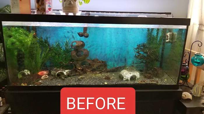 Tank Me Later Aquarium & Pond Services Picture 7