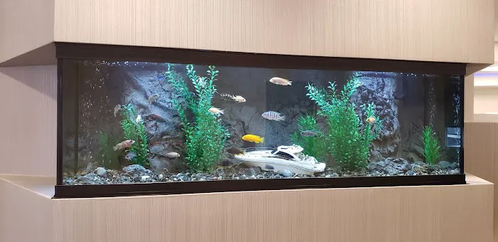 Tank Me Later Aquarium & Pond Services Picture 10