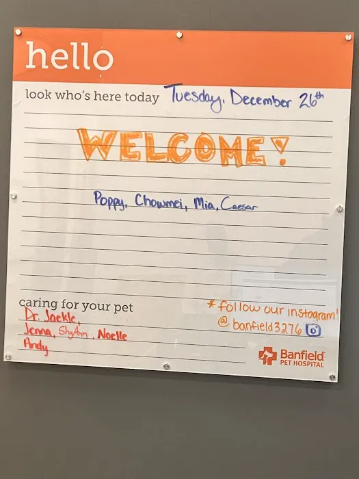 Banfield Pet Hospital Picture 4