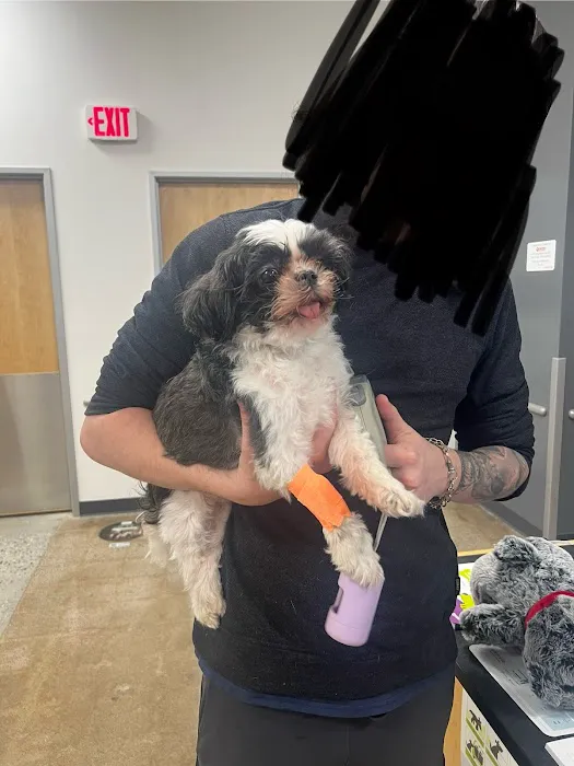 Banfield Pet Hospital Picture 5