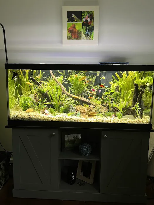 Island Fish and Scale Picture 5