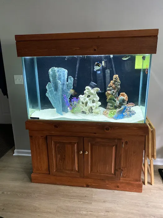 Island Fish and Scale Picture 7