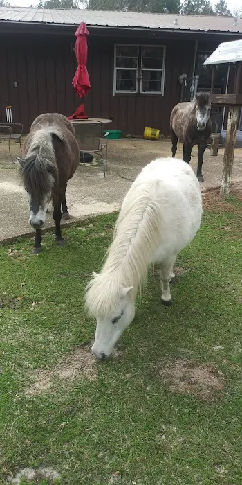 Equine Medical and Surgical Associates Picture 1