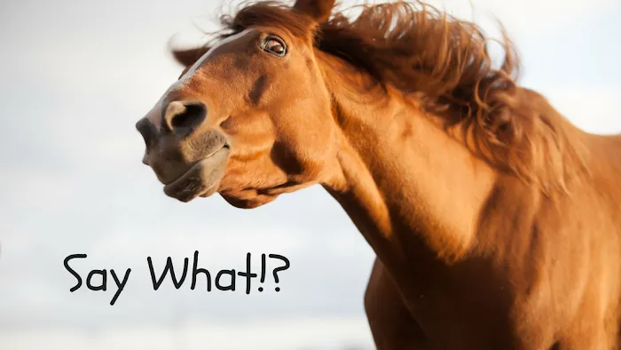 Equine Medical and Surgical Associates Picture 10