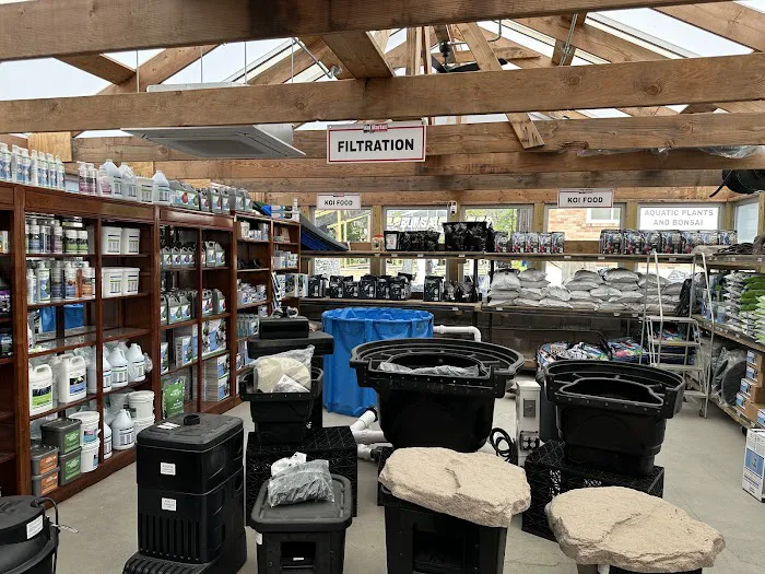 Koi Market Aquatic Nursery Picture 9