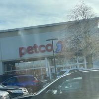 Petco ico