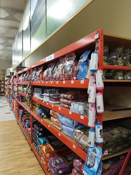 Petco Picture 7