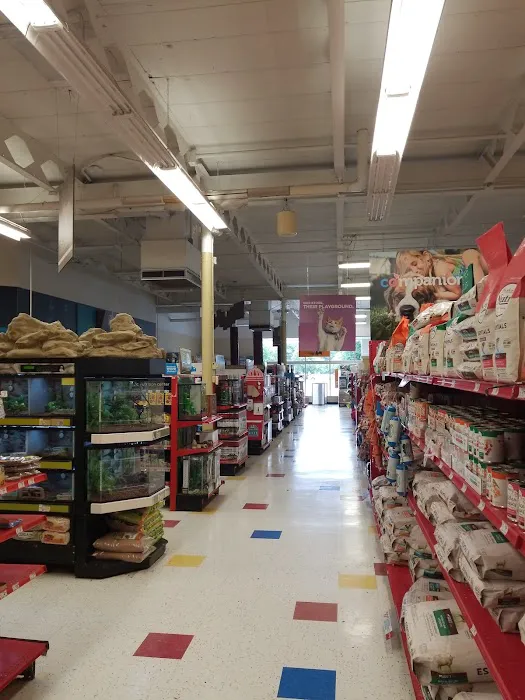 Petco Picture 9