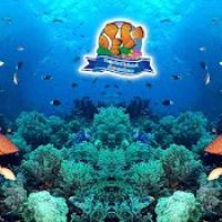 Tropical Island Aquarium Salt Water Fish Store Long Island ico
