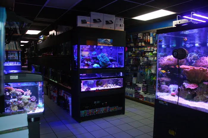 Tropical Island Aquarium Salt Water Fish Store Long Island Picture 7
