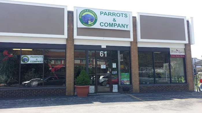 Parrots & Company Picture 3