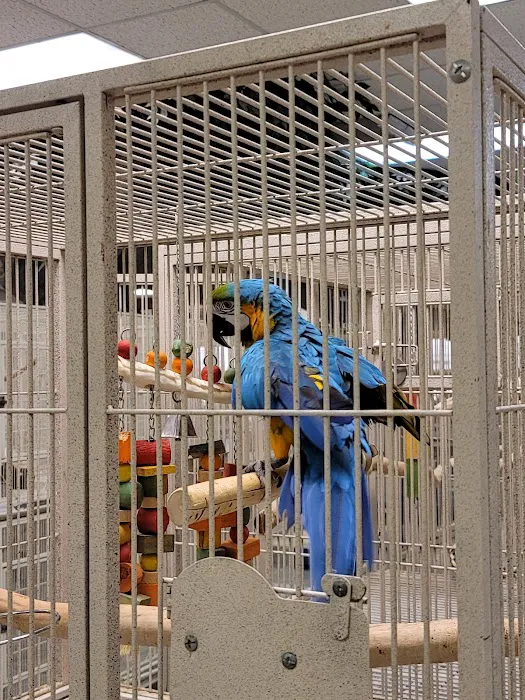 Parrots & Company Picture 4