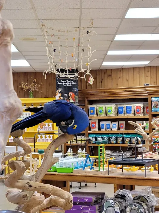 Parrots & Company Picture 5
