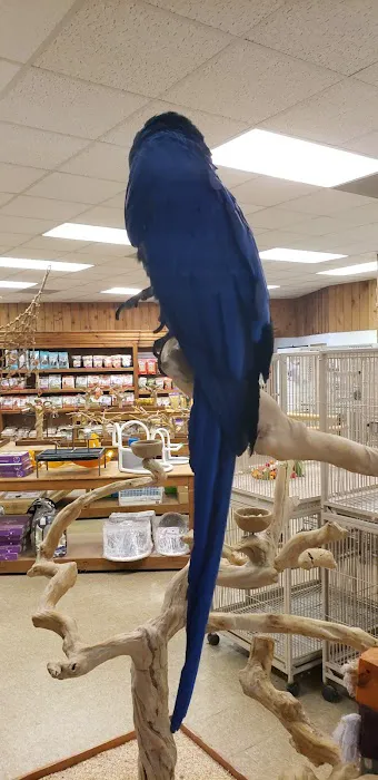 Parrots & Company Picture 10