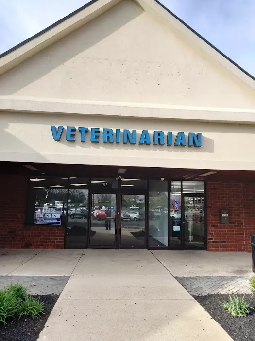 Animal Clinic of Westtown Village Picture 3