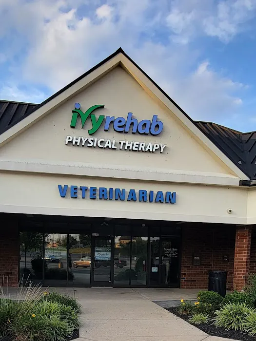 Animal Clinic of Westtown Village Picture 9