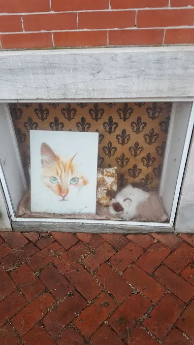 Chester County Cat Hospital Picture 6