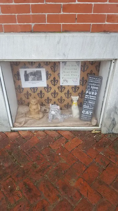 Chester County Cat Hospital Picture 10