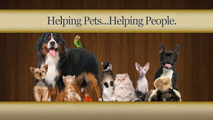 Main Line Veterinary Hospital Picture 2