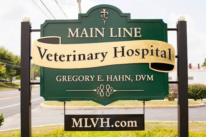 Main Line Veterinary Hospital Picture 10