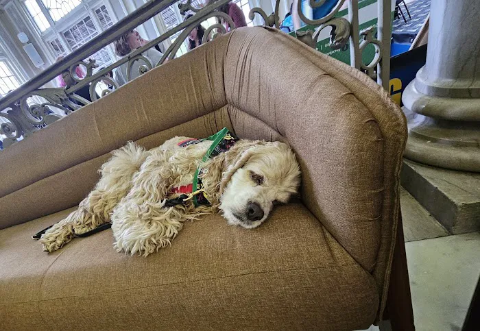 BluePearl Veterinary Cyberknife Cancer Center Picture 1