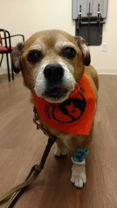 BluePearl Veterinary Cyberknife Cancer Center Picture 10