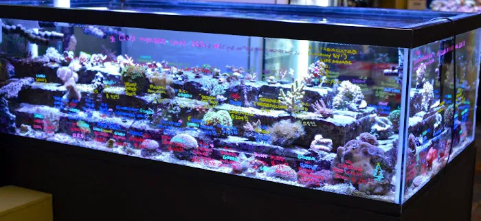 Life Aquatic Picture 8