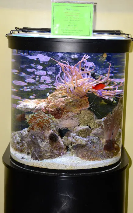 Life Aquatic Picture 9