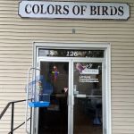 Colors Of Birds
