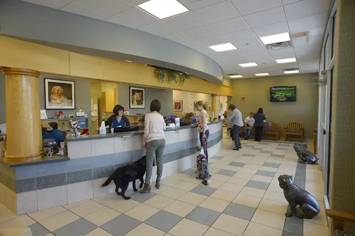 Veterinary Referral Center (VRC) Picture 3